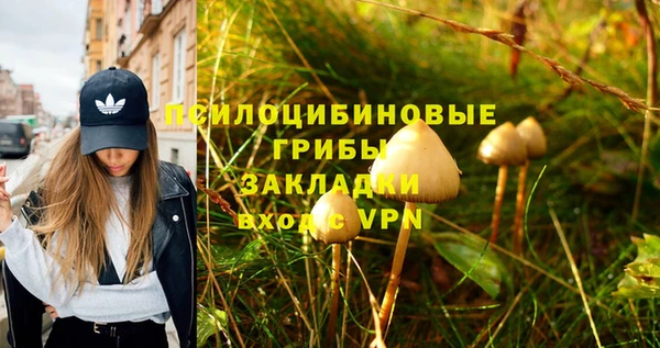 твердый Нефтегорск
