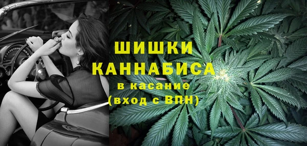 ПСИЛОЦИБИНОВЫЕ ГРИБЫ Нея