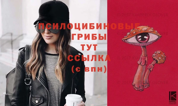 твердый Нефтегорск