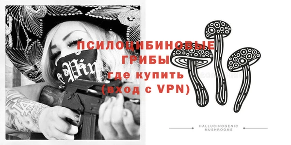 ПСИЛОЦИБИНОВЫЕ ГРИБЫ Нея