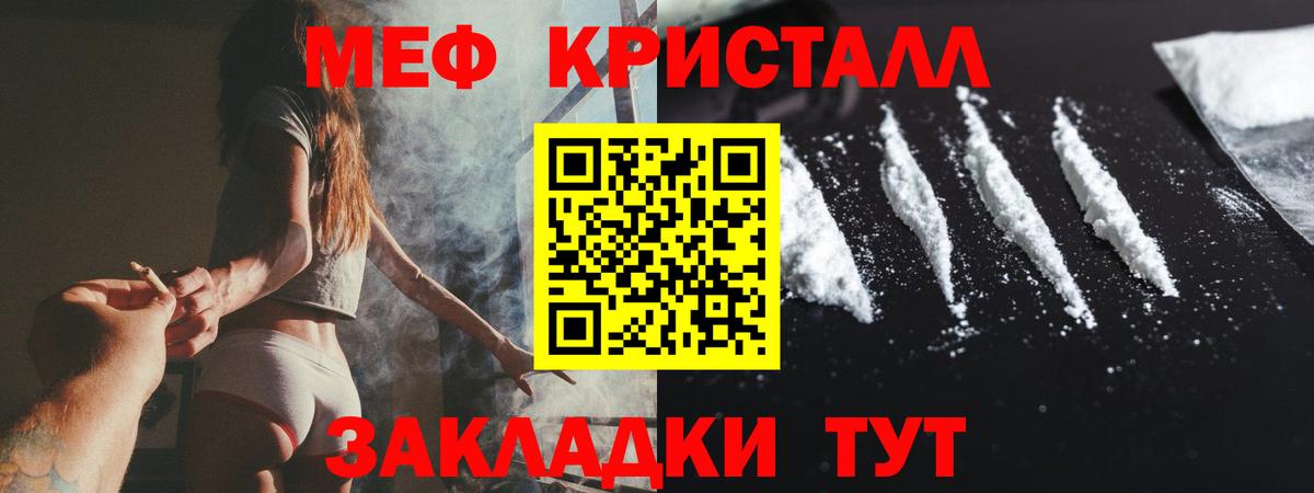 Новосибирск  МЕФ  Вход с VPN  МЯУ-МЯУ мяу мяу 