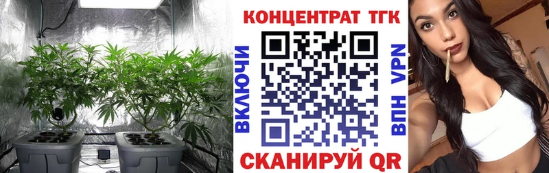 где купить наркоту  Новосибирск  ссылка на мегу ссылки  Дистиллят ТГК вейп 
