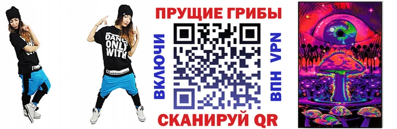 Псилоцибиновые грибы MAGIC MUSHROOMS  как найти   Новосибирск 
