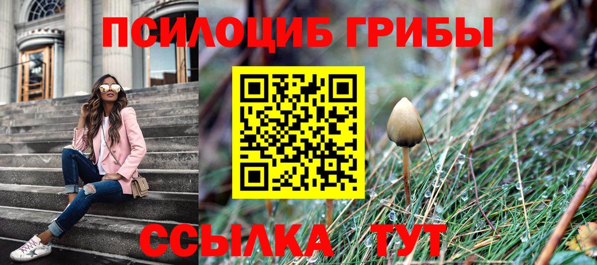 Галлюциногенные грибы мицелий  Новосибирск 
