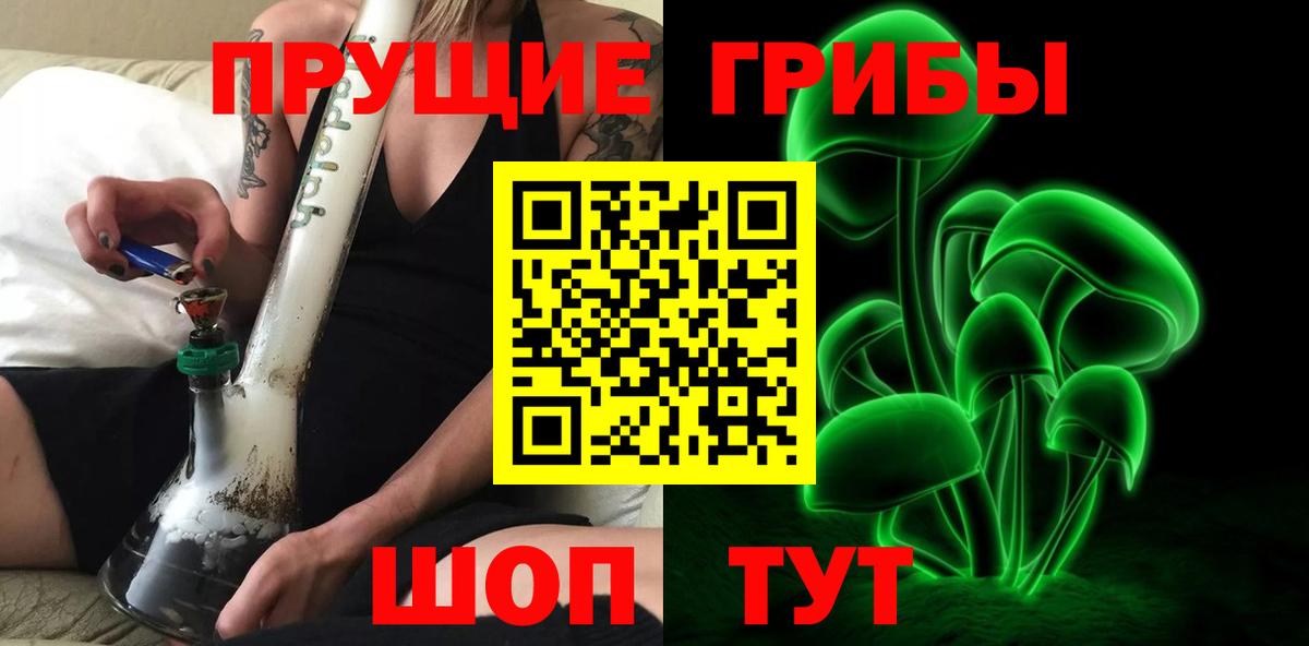 Псилоцибиновые грибы мицелий Новосибирск