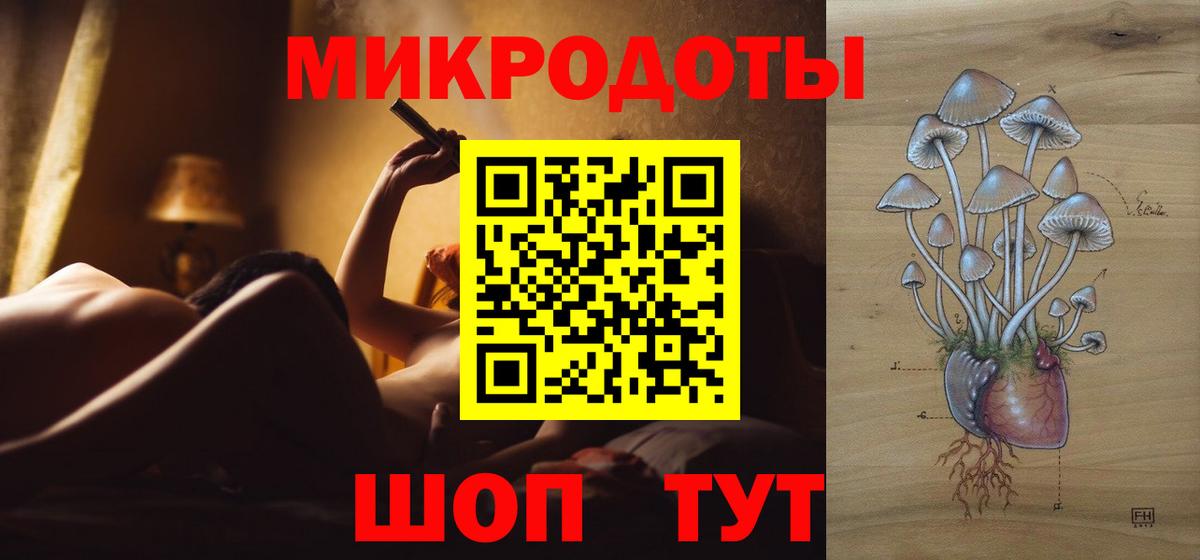 Псилоцибиновые грибы GOLDEN TEACHER  купить наркоту  Новосибирск  Вход с VPN  Псилоцибиновые грибы мухоморы 